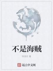 海贼就是海盗吗