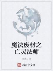 亡灵魔法师的旅程