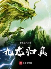 九龙归位