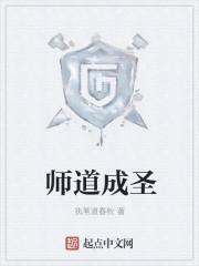 师道 成语