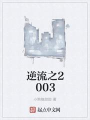 逆流的2007