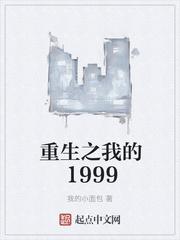 重生之我的1999风冰著