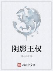 阴影之王技能怎么点