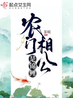 农门相公追妻忙免费