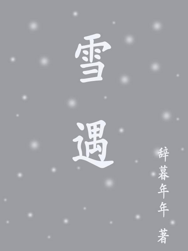 雪遇txt