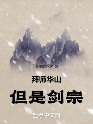 拜师华山丹师剑宗