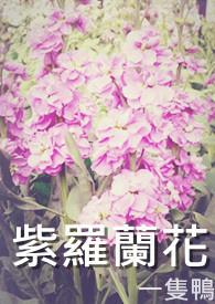 紫罗兰花水能养几天