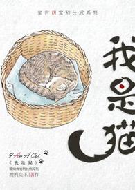 我是猫读后感