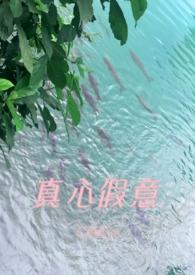 真心 假意