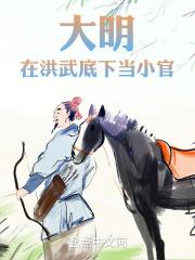 大明洪武初年