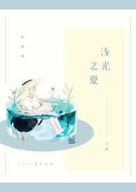 流光之夏剧情介绍全集