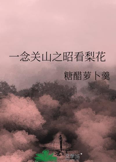 一念关山元昭皇后