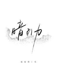 暗引力免费阅读全文无错字