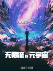 无限流的元宇宙